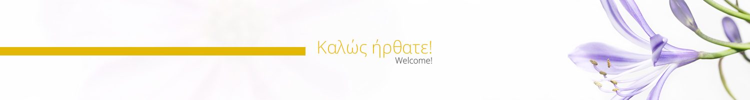 Καλώς ήρθατε - Welcome